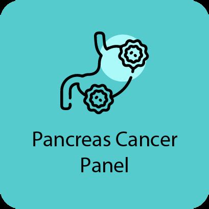 Pancreas Cancer