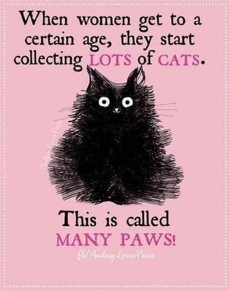 Funny Cat Lady Quotes - Cat Mania