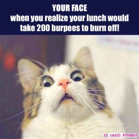 Fitness cat, gym workout )) | Book humor, Book memes, Humor