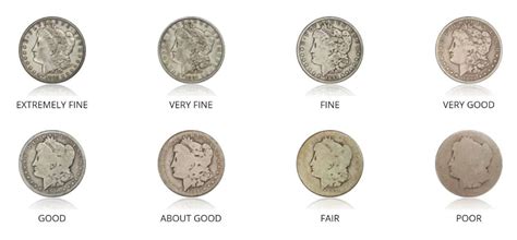 Coin Grading 101: How To Grade A Coin Yourself At Home | U.S. Coins Guide