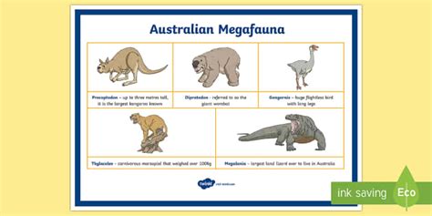 Australian Megafauna Display Poster (teacher made) - Twinkl