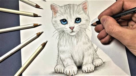 Comment dessiner un chaton mignon réaliste [Tutoriel] - YouTube