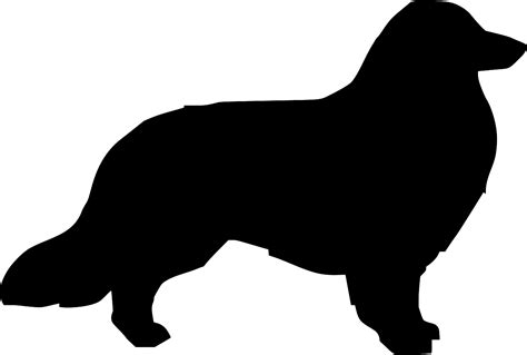 SVG > dog collie pet breed - Free SVG Image & Icon. | SVG Silh