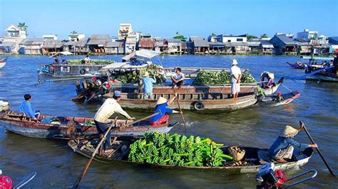 Tour Miền Tây Sông Nước 4N3D: Khởi Hành Từ Cần Thơ