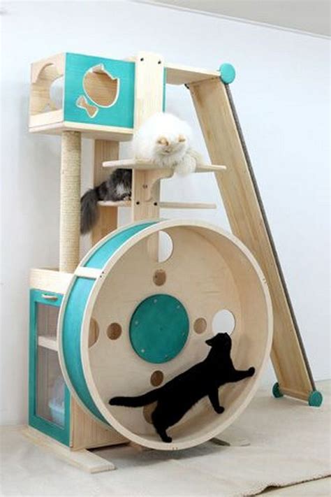 How to Build a Cat Exercise Wheel – DIY projects for everyone! | Diy cat toys, Cat exercise ...