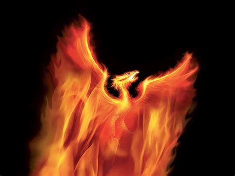 Phoenix, bird, 3d, fire HD wallpaper | Pxfuel