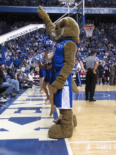 KY Wildcat-coolest mascot ever | Big blue nation, Kentucky wildcats ...