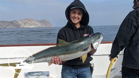 Coronado Islands Yellowtail Fishing Tips // Sportboat Roundup | BDOutdoors