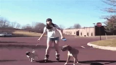 Dogs Rollerblading GIF by The Ed Bassmaster Show - Find & Share on GIPHY