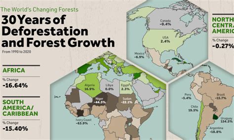 Deforestation Around The World Map - Emylee Philomena