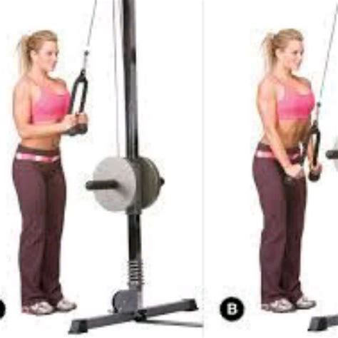 Tricep Cable Pulldown by D Rodney - Exercise How-to - Skimble