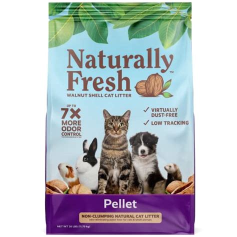 16 Sustainable Pet Products & Ideas for Zero Waste Pet Care