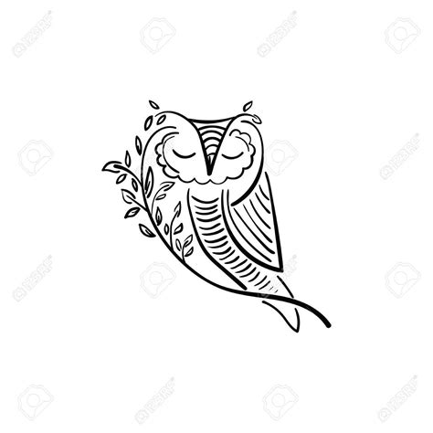 Owl On Branch Drawing at GetDrawings | Free download