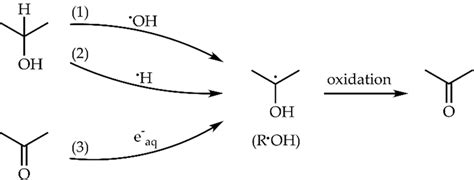 Scheme 1. Acetone formation through the oxidation of α-hydroxyisopropyl ...