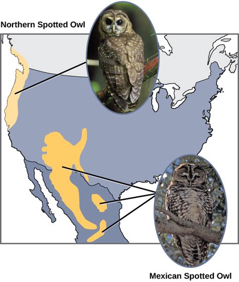 Types of Speciation | Biology for Non-Majors II