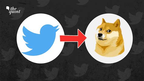 'Blue Bird' To 'Doge Meme': Why Has Elon Musk Changed Twitter's Logo?