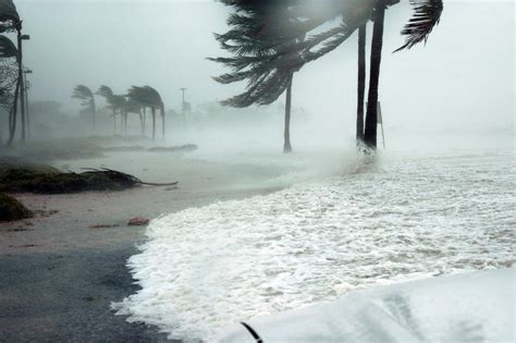 It’s Florida Hurricane Season: What Homeowners Need To Do To Prepare ...