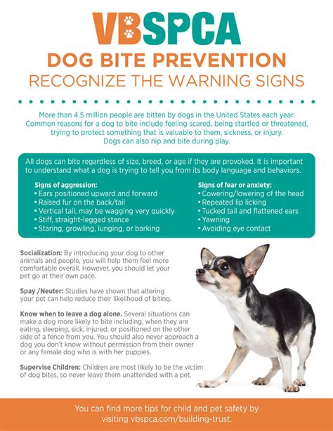 Dog Bite Prevention | Recognize The Warning Signs – Virginia Beach SPCA