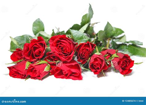 Rose Bouquet Royalty-Free Stock Image | CartoonDealer.com #12485674