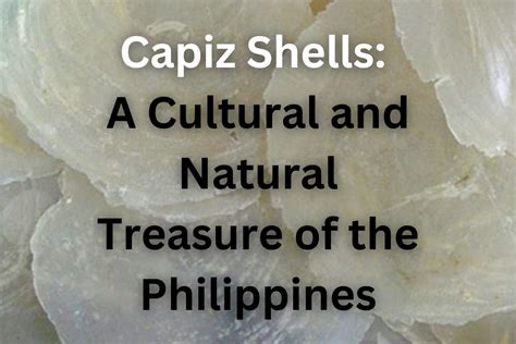 Capiz Shells: A Cultural and Natural Treasure of the Philippines