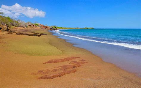 These Are the Only Green-sand Beaches in the World