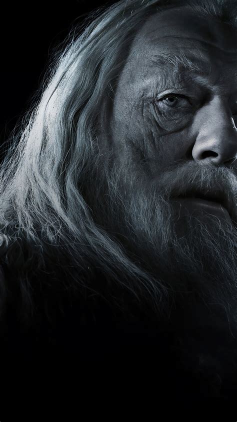 Albus Dumbledore Michael Gambon 4K #2161m Wallpaper PC Desktop