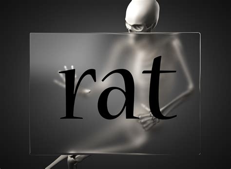 rat word on glass and skeleton 7617444 Stock Photo at Vecteezy