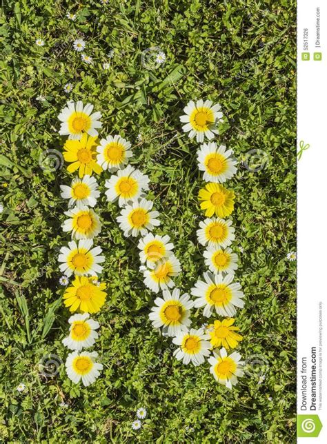 Letter N Flower Alphabet - Download From Over 67 Million High Quality ...