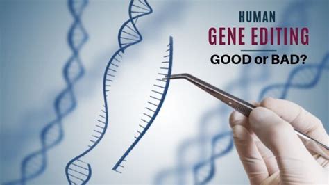 Human Gene Editing: Good Or Bad? | TriBeCa Care