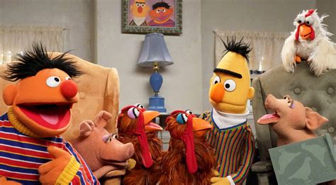 Sesame Street Season 49 Episode 4901 - When You're a Vet | Muppet ...