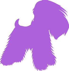 Yorkshire terrier dog silhouette - Free Vector Silhouettes | Creazilla