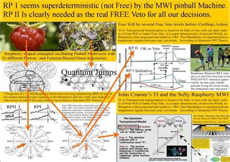 Real Veto before all our decisions. | Download Scientific Diagram