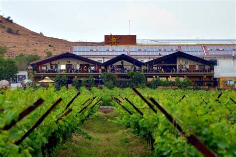 Sula Vineyards (Nashik) - All You Need to Know BEFORE You Go - Updated ...