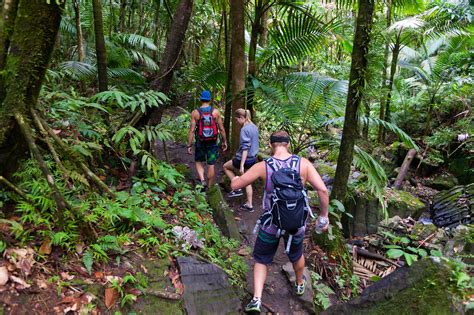 El Yunque National Forest | Puerto Rico Attractions - Lonely Planet