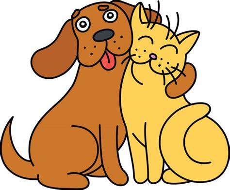 Royalty Free Cat And Dog Playing Together Clip Art, Vector Images & Illustrations - iStock