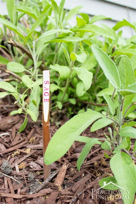 DIY Twig Plant Markers For Your Garden!