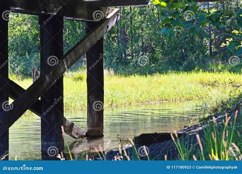 Summer in Alaska stock image. Image of sunny, inlet - 117180923