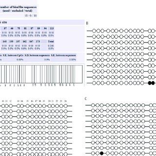 Methylation status of the CpG island in the MLH1 promoter. The 16 CpG ...