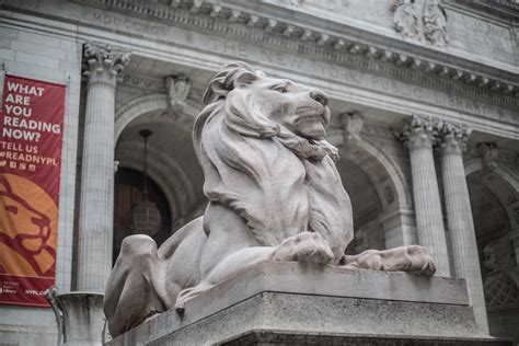 Iconic library lions to get a laser cleaning as part of conservation effort | 6sqft