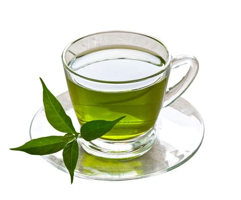 Benefits Of Drinking Organic Green Tea During Pregnancy