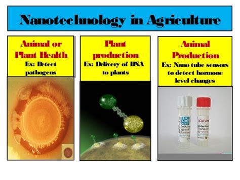 Nanotechnology: Basic introduction to the nanotechnology.
