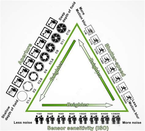 Diagram showing the exposure triangle | Digital photography lessons, Photography basics ...