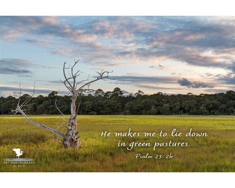 Psalm 23 Green Pastures Original Photograph With Bible Verse - Etsy