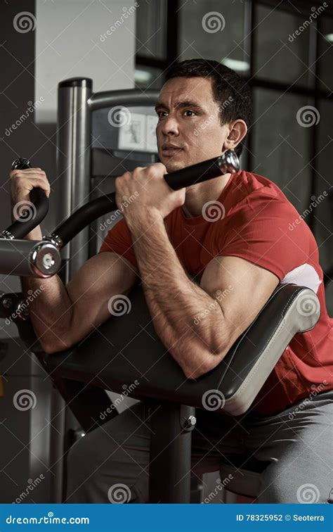 People training in the gym stock photo. Image of athletic - 78325952