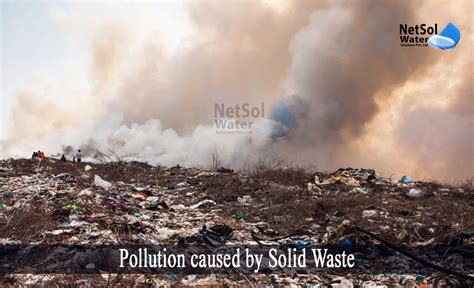 What are the Pollution caused by Solid Waste - Netsol Water