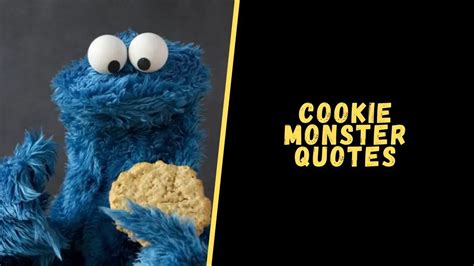 Top 15 Memorable Quotes From Cookie Monster To Laugh Out Loud