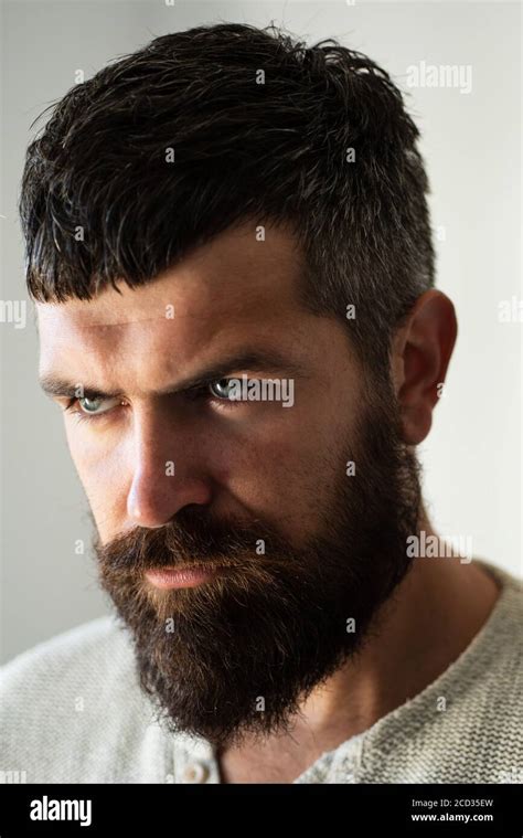 Portrait of confident serious man has beard and mustache. Handsome male ...