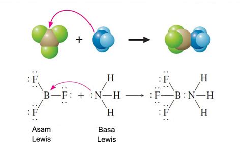 Teori Asam Dan Basa Menurut Arrhenius, Bronsted-Lowry, dan Lewis | ezy blog