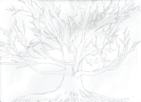Oak Tree Drawing by laurenlilly757 on DeviantArt