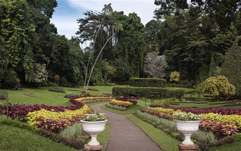 Royal Botanical Gardens in Peradeniya, Sri Lanka | Botanical gardens ...